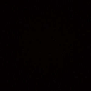 Meet your Posher, Levi